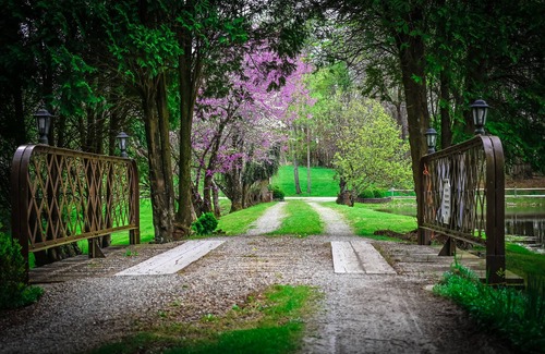 Ava House | We are a quiet ranch home that sits on 8 acres with firepit, pond and bar.