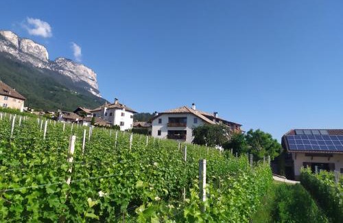 Berg/Monte Apartment | Weingut Lahn zu Eppan