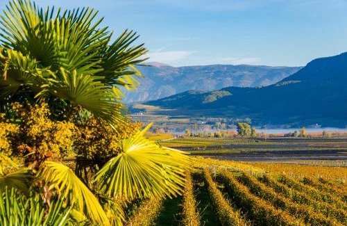 Tramin House | Weinberghof