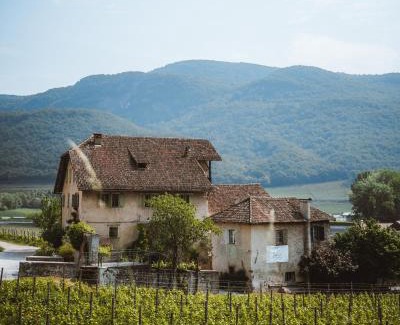 Seestrasse Hotel | Weinbergsuite Panholzer