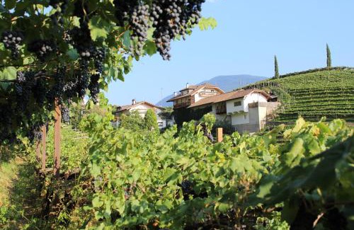 Centro - Piani - Rencio Apartment | Weingut Eberlehof