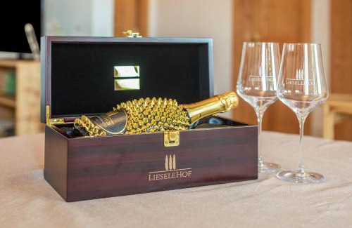 Caldaro Sulla Strada del Vino Apartment | Weingut Lieselehof Apt Laurin