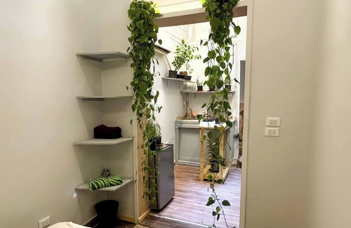Garden City Apartment | Welcome to The Greenhouse
