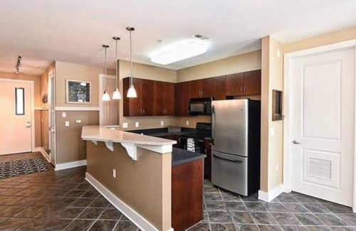 Third Ward Condo | Welcome to the Panther's Den