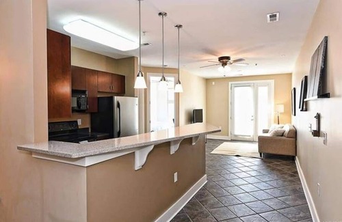 Third Ward Condo | Welcome to the Panther's Den