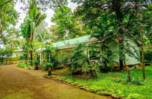 Arusha Apartment | Wendy Luxury Homes