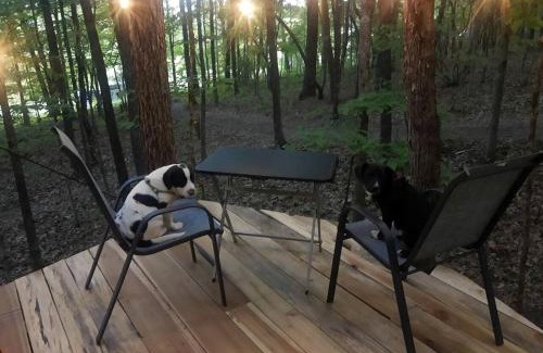 Grandview Other | Whimsical Forest Safari Tent Haven Near Laurel Creek, Tennessee