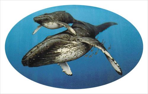 Jacobs Bay House | Whispering Whale