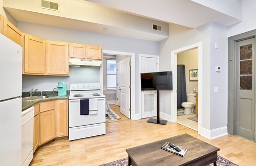 Grand Center Apartment | White House -1 Bdrm/1Bath Apt-F