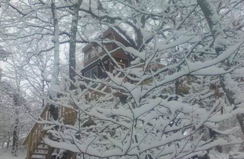Hardin County Cabin | White Oak Tree House by Garden of the Gods in the Shawnee National Forest