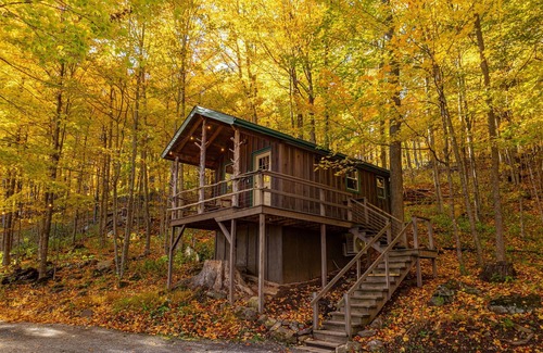 Allegheny Mountains Cabin | WiFi l Heat/AC l Firepit/Grill- Glamp in Style!