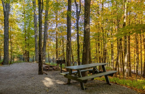 Allegheny Mountains Cabin | WiFi l Heat/AC l Firepit/Grill- Glamp in Style!