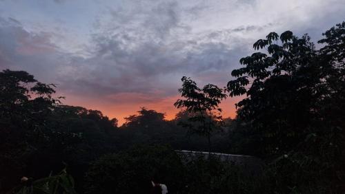 Rivas House | Wild Nest Chirripo