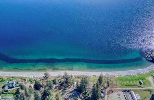 Powell River Apartment | Wilderness Cottage