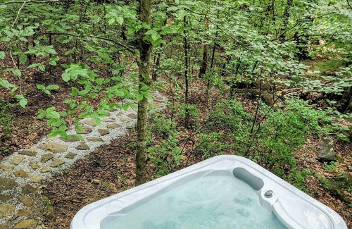 Abbeville Cottage | Wilewood A-Frame nSecluded/RomanticnHot Tub/Cold plunge