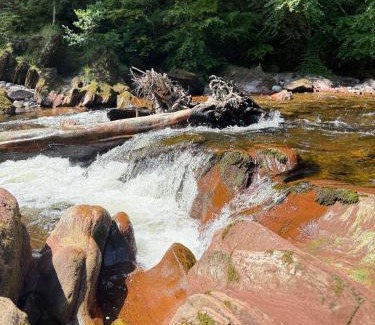 Glenesk Apartment | Winchester 34