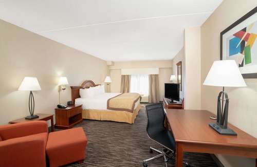 Paw Creek Hotel | Wingate by Wyndham Charlotte Airport I-85/I-485