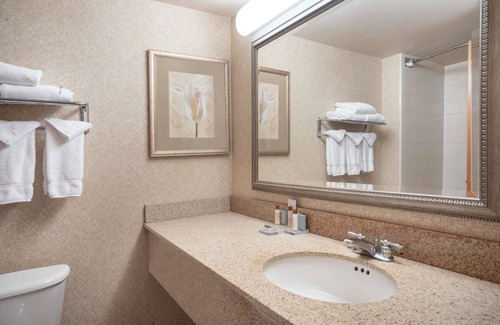 Paw Creek Hotel | Wingate by Wyndham Charlotte Airport I-85/I-485