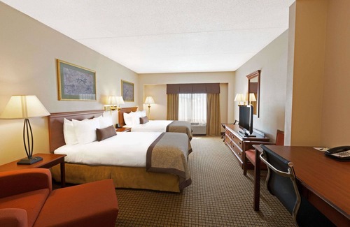 Paw Creek Hotel | Wingate by Wyndham Charlotte Airport I-85/I-485