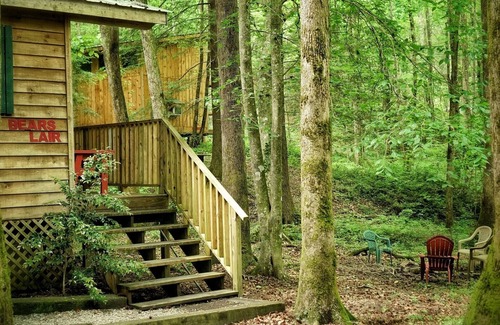 Ellijay Cabin | With a king sized bed BEAR'S LAIR gives comfort of home plus an outdoorsy vibe!