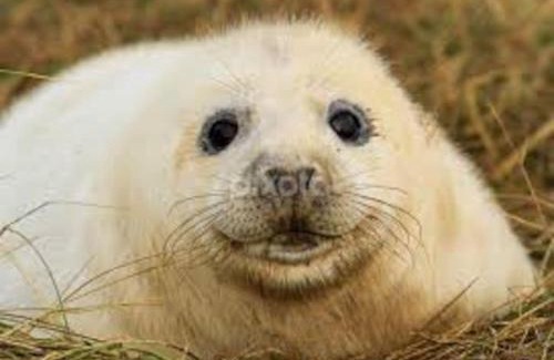 Louth House | Wolds View at Kents Farm Cottages