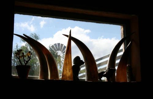 Plathuis House | Wolverfontein Karoo Cottages