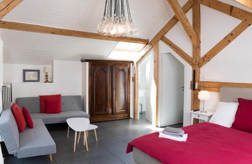 Le Grand-Saconnex Bed & Breakfast | Wonderlandscape Guest House