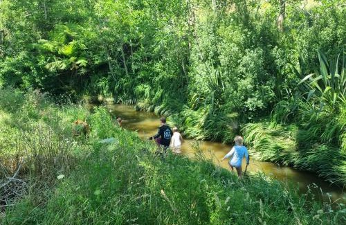Waikino Apartment | Wood Pigeon Cottage Pet Friendly Free Breakfast Hauraki Rail Trail 2kms