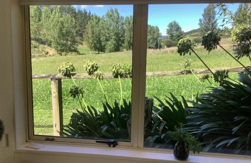 Waikino Apartment | Wood Pigeon Cottage Pet Friendly Free Breakfast Hauraki Rail Trail 2kms