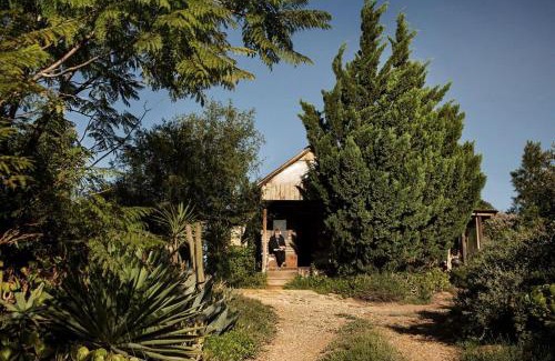 Barrydale Apartment | Wooden Cabin Barrydale