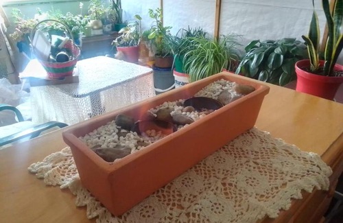 Guatavita Other | Woodland cabin with breath-taking views