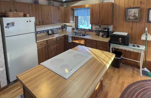 Wisconsin Cabin | Woodland Escape | Charming Cabin Steps to the Lake