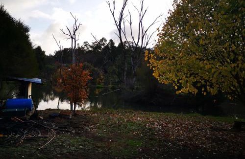 Balingup Ski Chalet | Woodlands of Balingup Bush Cottages -Flora & Fauna focused