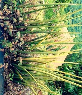 Durban Resort | Wushwini Resort