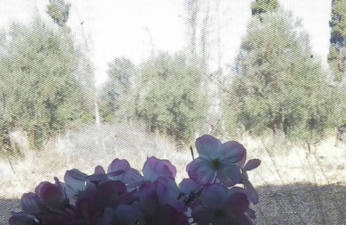 Naxos House | xenonas at Villa Xenios Zeus