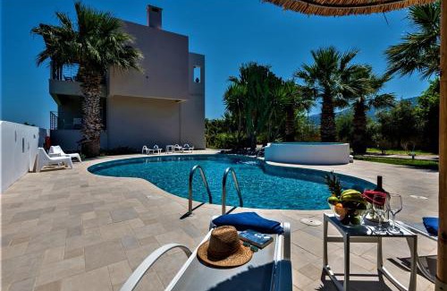 Zipari Villa | XENOS VILLA 2 with a private pool,near the sea