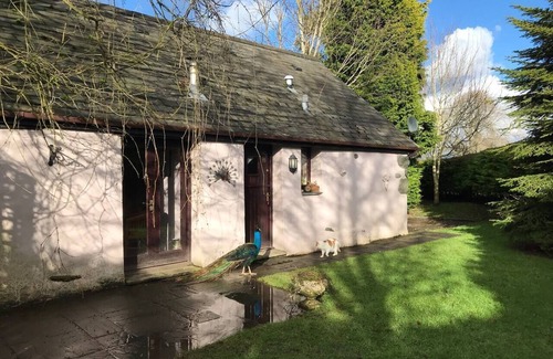 Corwen Cottage | Y Twlc Mochyn - EcoFriendly - Farm Animals