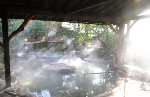 Ota Onsen Hotel | Yamashinobu
