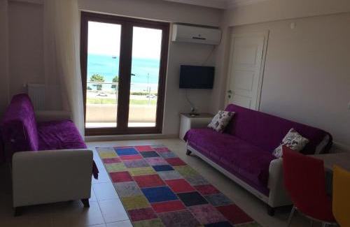 Sinop Apartment | Yasar Apart