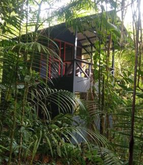 Las Horquetas Cabin | Yatama Rainforest Ecolodge