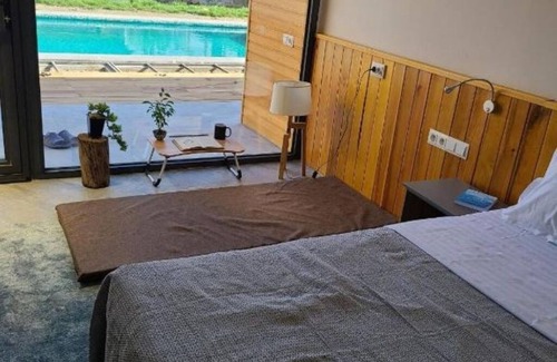 Tashkent Bed & Breakfast | YO Guesthouse : Double Room with Pool View