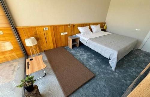 Tashkent Bed & Breakfast | YO Guesthouse : Double Room with Pool View