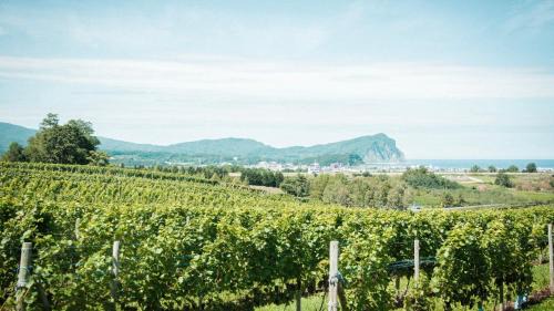 Yoichi Other | Yoichi Vineyard Glamping