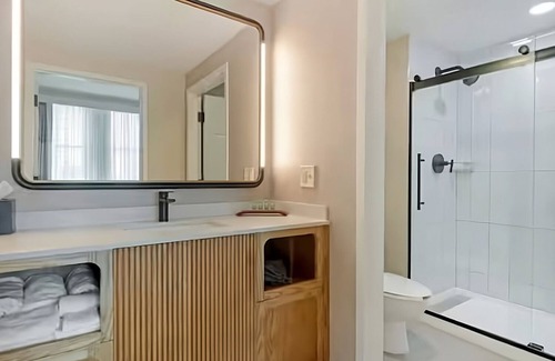 Downtown Tampa Hotel | Your Urban Sanctuary: Unwind in Style in Downtown Tampa- 2 Rooms