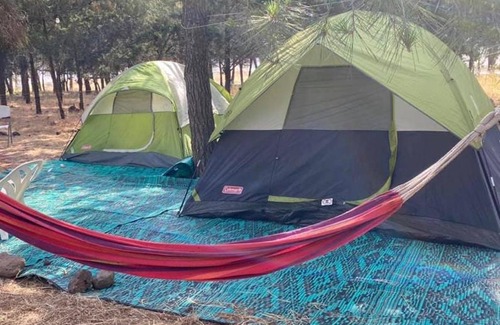 Qatsrin Other | Yurt