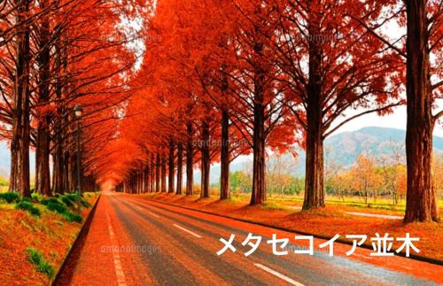 Nagahama Apartment | YURURIBASE 凛 in Nagahama contactless checkin