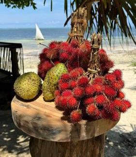 Kiwengwa Hotel | Z-Breeze Zanzibar