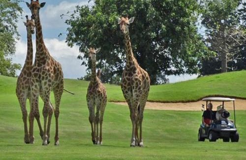 Leeupoort Villa | Zebula 1 Pela Lodge, 4-bedroom house