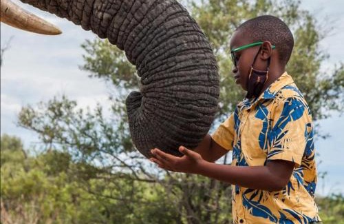 Leeupoort Villa | Zebula Golf and Wildlife Estate - Nagapie 12 Pax- Moi Signature Luxury villa