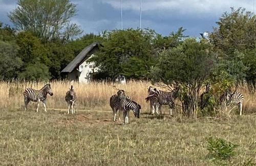 Leeupoort Villa | Zebula Golf and Wildlife Estate - Nagapie 12 Pax- Moi Signature Luxury villa